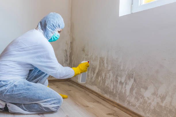Licensed Bathroom Mold Removal service in Metuchen, NJ - WQB Mold Removal
