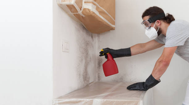 Professional Bathroom Mold Removal technician working in Metuchen, NJ