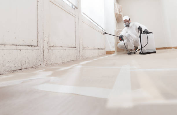 24/7 Emergency Bathroom Mold Removal experts in Metuchen, NJ