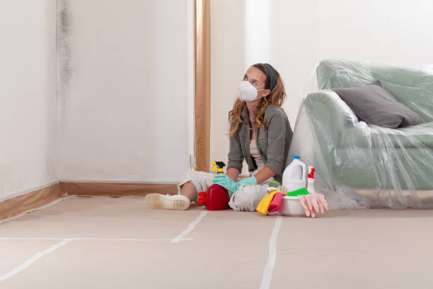 Reliable Bathroom Mold Removal contractor in Metuchen, NJ by WQB Mold Removal